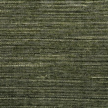 Vinyl Abaca Fern