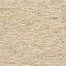 Vinyl Abaca Pumpkin Seed