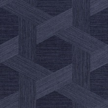Vinyl Woven Sisal Poised Navy