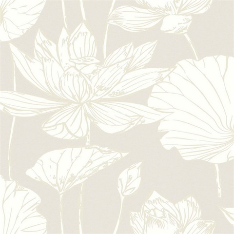 Viola Coconut Modern Wallpaper