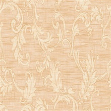 Vittoria Acanthus Scroll