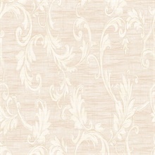 Vittoria Acanthus Scroll