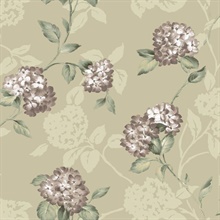 Voluta Grey Acanthus Scroll Wallpaper