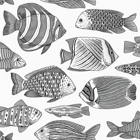 Wailea Black Tropical Fish Wallpaper