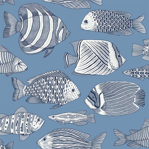 Wailea Sky Blue Tropical Fish Wallpaper
