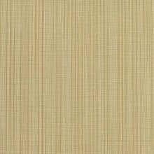 Warren Stripe Cottonseed