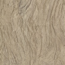 Wasatch Brown Marble