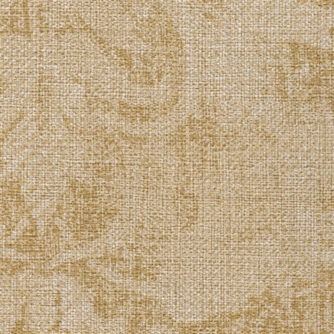 Washed Medallion Filtered Sunlight