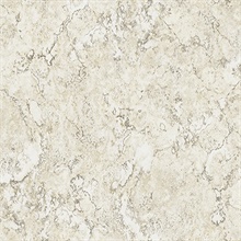 Water Stone Faux Finish