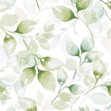 Watercolor Tossed Leaves Botanical Green Ivy Peel and Stick Wallpaper