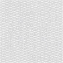 Modern Screen