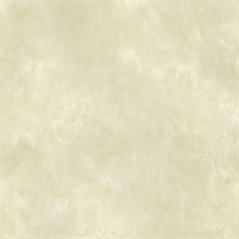 Wheat Henna Texture