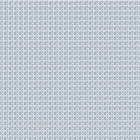 White & Baby Blue Wicker Screen Textured Wallpaper