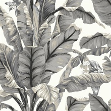 White & Black Banana Leaf Peel and Stick Wallpaper