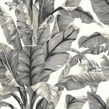 White &amp; Black Banana Leaf Peel and Stick Wallpaper