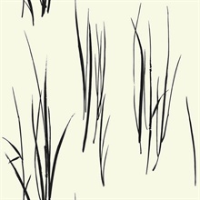 White & Black Commercial Grasses Wallpaper