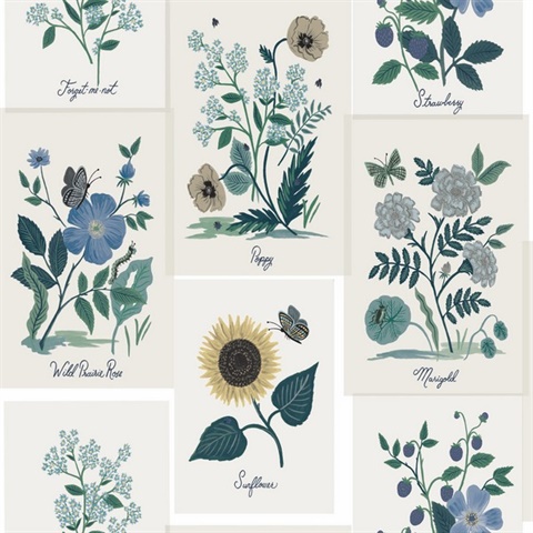 White & Blue Botanical Pinboard Floral Prints Wallpaper