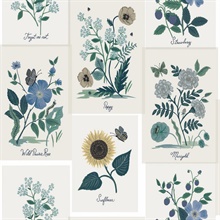 White & Blue Botanical Pinboard Floral Prints Wallpaper