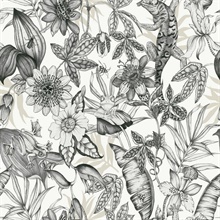 White &amp; Charcoal Sketched Rainforst with Floral &amp; Leaf Wallpaper