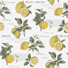 White Citron Lemon &amp; Leaf Botanical Wallpaper