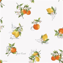 White Citrus Oranges, Lemons & Flowers Toss Wallpaper