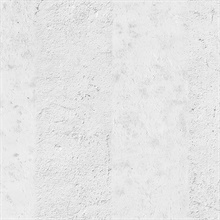 White Concrete & Plaster
