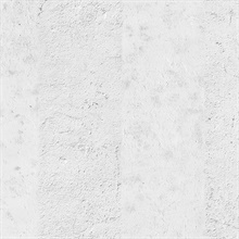 White Concrete & Plaster