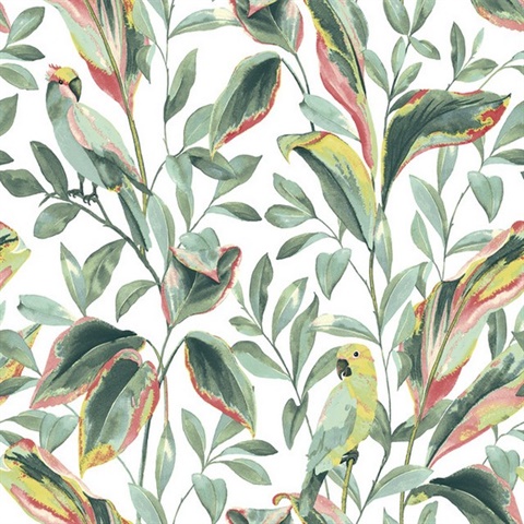 White & Coral Tropical Love Birds & Leaves Wallpaper