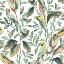 White &amp; Coral Tropical Love Birds &amp; Leaves Wallpaper