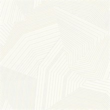 White Dotted Maze Geometric Dot & Line Wallpaper