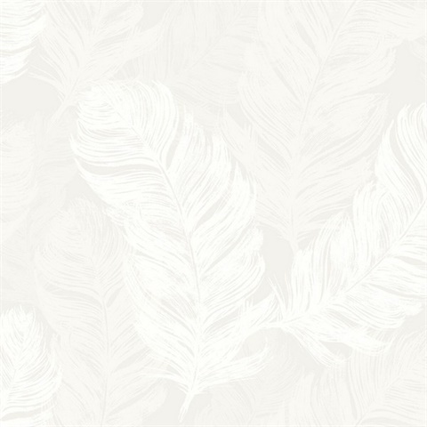 black and white feather wallpaper