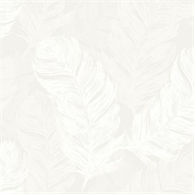 White Feathers Wallpaper