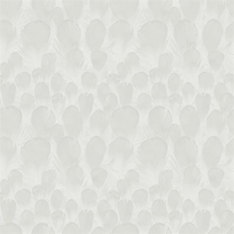 White Feathers Wallpaper