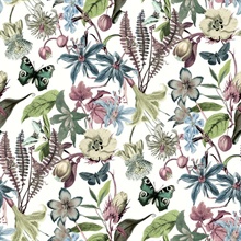 White & Fuchsia Butterflies with Floral & Leaf Wallpaper