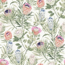 White & Fuchsia Large Drawn Protea Floral & Leaf Wallpaper