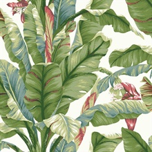 White &amp; Green Banana Leaf Peel and Stick Wallpaper