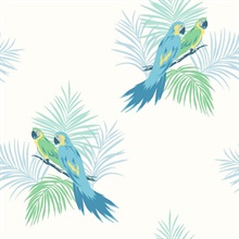 White, Green & Blue Commercial Parrot Birds Wallpaper