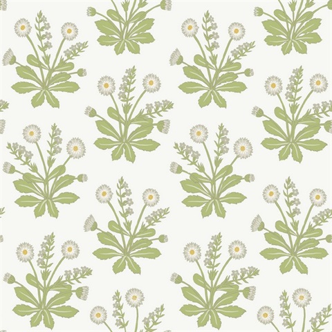 White & Green Meadow Flowers Wallpaper