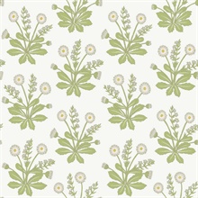 White & Green Meadow Flowers Wallpaper