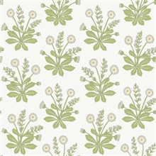 White & Green Meadow Flowers Wallpaper
