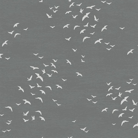 White & Grey Coastal Birds FLying South Wallpaper