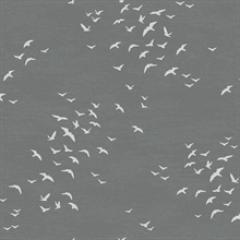 White & Grey Coastal Birds FLying South Wallpaper