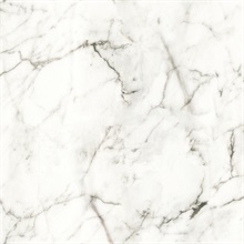 White &amp; Grey Palace Marble Peel and Stick Wallpaper