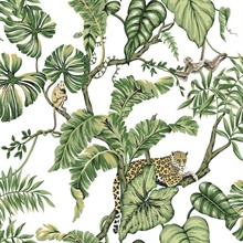 White Jungle Cat Jaguars & Monkeys Animal Wallpaper