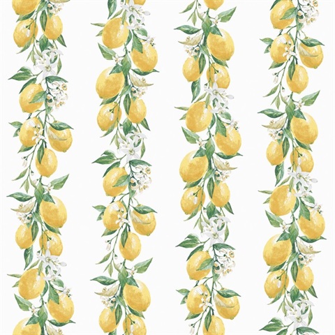 White Lemon & Leaf Vine Stripe Wallpaper