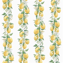 White Lemon & Leaf Vine Stripe Wallpaper