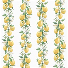 White Lemon &amp; Leaf Vine Stripe Wallpaper