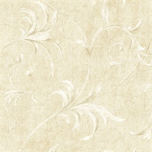 White Ogee Acanthus Scroll