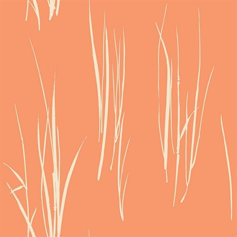 White & Orange Commercial Grasses Wallpaper
