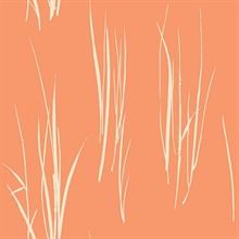 White & Orange Commercial Grasses Wallpaper